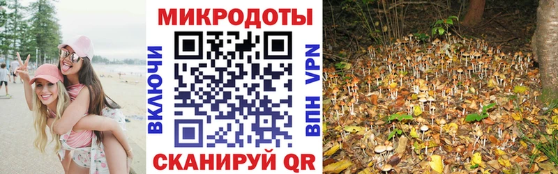 цены наркотик  Пугачёв  Псилоцибиновые грибы GOLDEN TEACHER 