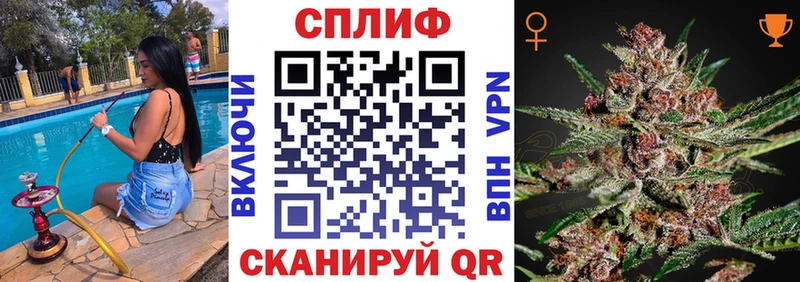 Каннабис SATIVA & INDICA  нарко площадка клад  Пугачёв 